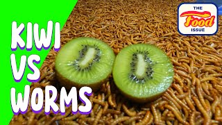 Mealworms eating Kiwi