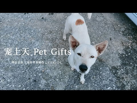 VLOG EP 24: 喂食浪浪 | 宠物零食制作