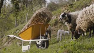 Karjola, the Only Smart Steering Electric Wheelbarrow