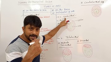 Types Of Eggs | NEET BIOLOGY | NCERT |
