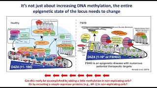 Our evaluation of and opinions on the EPI-321 publicly available preclinical data