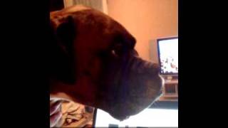 Patapouf Me Repond Sechement