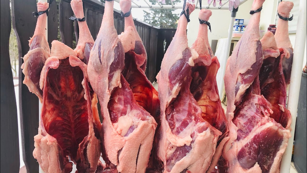 Kars usulu kaz kurutması. Getrocknetes Gänsefleisch. Dried goose meat. Cушеное мясо гуся.