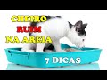 CHEIRO RUIM NA AREIA DO GATO? VEJA ESSAS 7 DICAS - Gatil Hauser