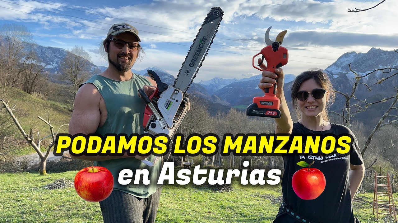 06#PODAMOS MANZANOS ABANDONADOS en la FINCA de ASTURIAS | Al Son de mi Furgón