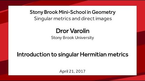Introduction to singular Hermitian metrics - Dror Varolin