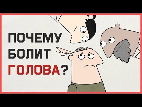 Edu: Почему у нас болит голова