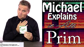 Antagelse Konsekvenser Skæbne Michael Explains it All - Prim Violin Strings - YouTube