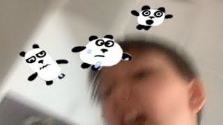 3 Pandas In Real Life