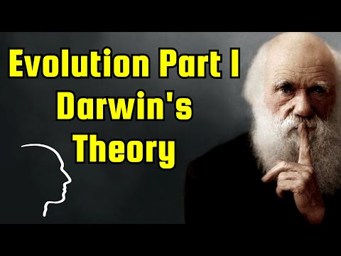 Video: Hvem Har Godt Av Darwins Evolusjonsteori? Del 1. 
