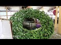 Real Farms, Real Stories: The Magnolia Company/ Beautiful Magnolia Wreaths