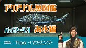 Ff14 パッチ5 1 5 2で追加された通常魚 G1 G2 12匹 とあるサブキャラのアクアリウム Youtube