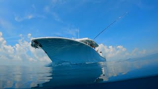 2025 OKC and Tulsa Boat Shows! Tidewater, Schaefer, Centurion! We're back for another season in 2025