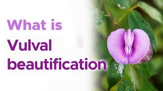 What is Vulval beautification