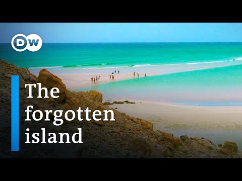 Socotra - The treasure island between Yemen and Somalia | DW Documentary