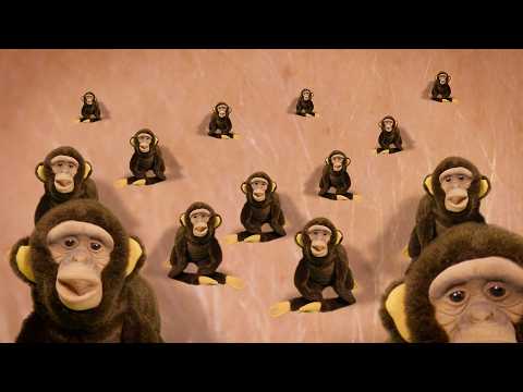 CHIMPARASITES - TRAILER