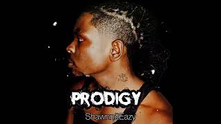 Shawnn2eazy - Splintr (Audio) / Prodigy Mixtape