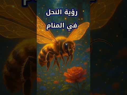 رؤية النحل في المنام لإبن سيرين   تفسير الأحلام معلومات 