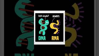 Dna Vs Rna