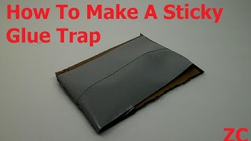 How To Make A Sticky Glue Trap For Pests And Insects