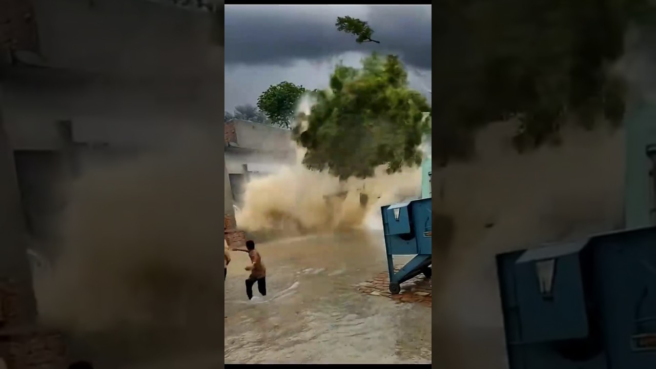 Why is Punjab called the food provider of India (no shortage of food in Punjab in Floods)