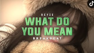 DJ WHAT DO YOU MEAN BREAKBEAT VIRAL TIKTOK