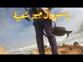 رائع لقد علق في السنارة إنه أسود اللون 