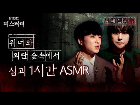 [별 헤는 괴담] 위너와 외딴 숲속에서 심괴 1시간 ASMR #심야괴담회 #심괴 #어둑시니 MBC210617방송
