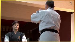 Tenchi Ken Dai Ikkei. تقنيات تطبيق Shorinji Kempo. Sensei Yuto، Kazuhiro Kawashima 少林寺 拳法 screenshot 1