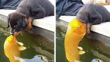 Fastest Skillful Workers Never Seen Before - Most Satisfying Factory Machines & Ingenious Tools #24