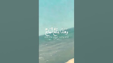 مرجة البحرين يلتقيان #سورة الرحمان