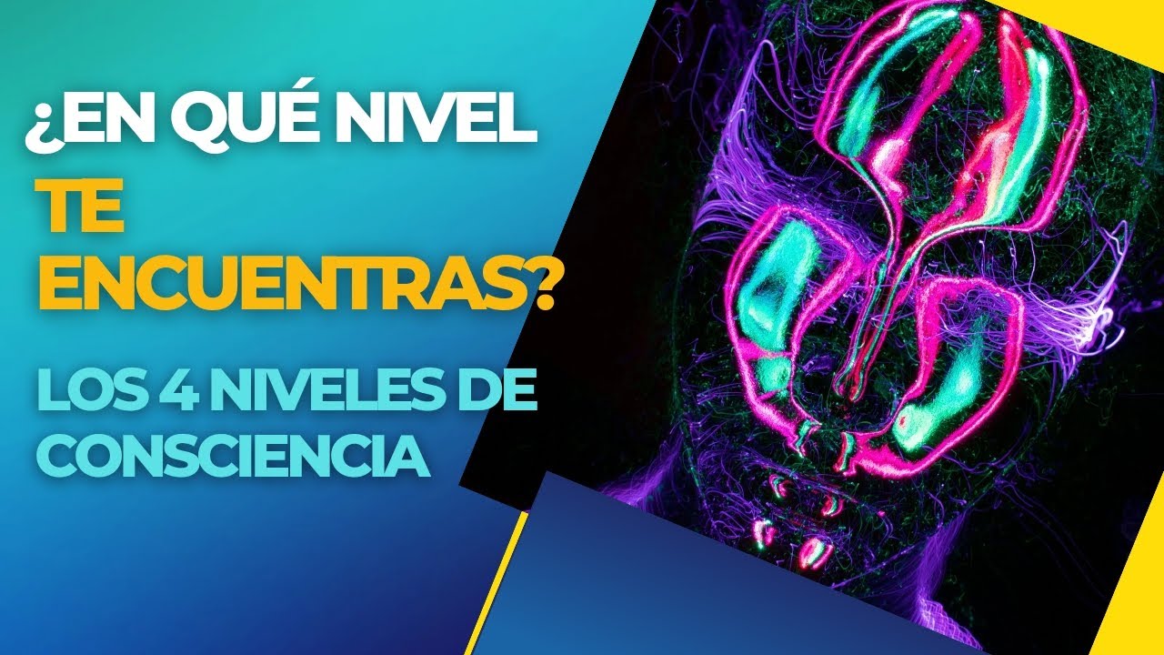 ¿En qué nivel te encuentras? Los 4 niveles de consciencia. - YouTube
