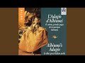 Miniature de la vidéo de la chanson Quintetto Terzo En Mi Mineur, G 415: Iii. Provensal. Allegro Vivo