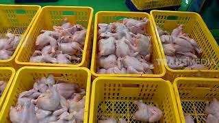 PABRIK PEMBUATAN NUGET AYAM TANPA TULANG | SI UNYIL (07/01/20) PART 3