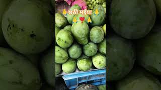 छठी मईया के होता आगमन
