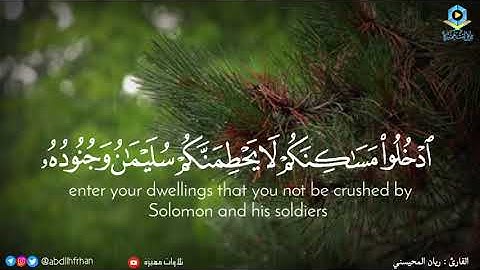 #ريان المحيسني    تلاوة بديعة تأخذ بمجامع القلوب♡ ﴿وَلَقَدْ آتَيْنَا دَاوُدَ وَسُلَيْمَانَ عِلْمًا﴾