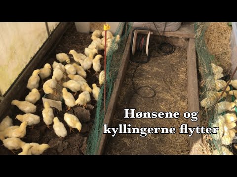 Video: KKM - hvad er det? KKM vedligeholdelse, vejledning