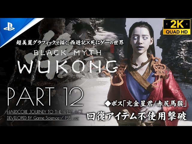 【神龜のご加護】世界尊者『LPリュウ師』超金運到来の神亀　プラクルアン　大　③ 神龜のご加護】世界尊者『LPリュウ師』超金運到来の神亀