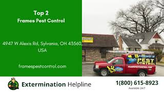 Top 3 Exterminators in Toledo