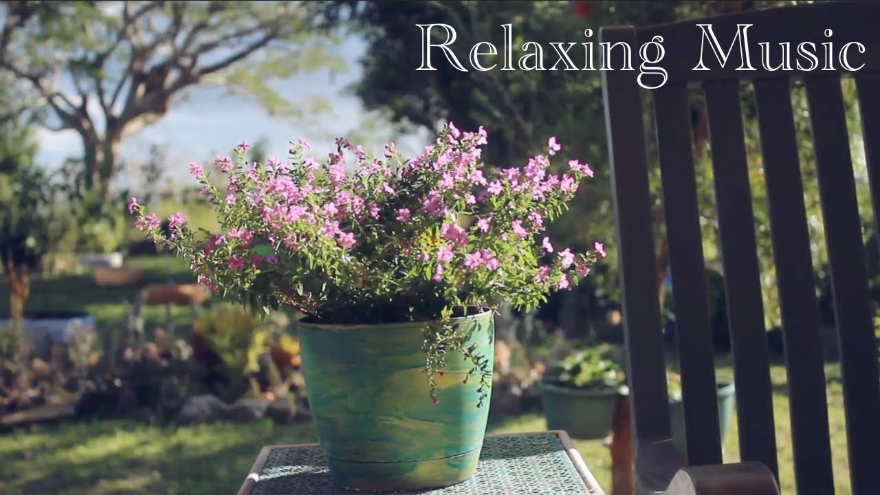 Studying With Relaxing Music Sunlit Garden Peaceful Vibe
