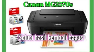 CARA MEMPERBAIKI CANON MG2570 ERROR CODE 5200 LAMPU INDIKATOR POWER DAN ALARM KEDIP 8X BERGANTIAN