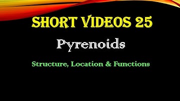 Pyrenoids -- Structure, Function & Location | Photosynthesis in algae | Plant kingdom | NEET