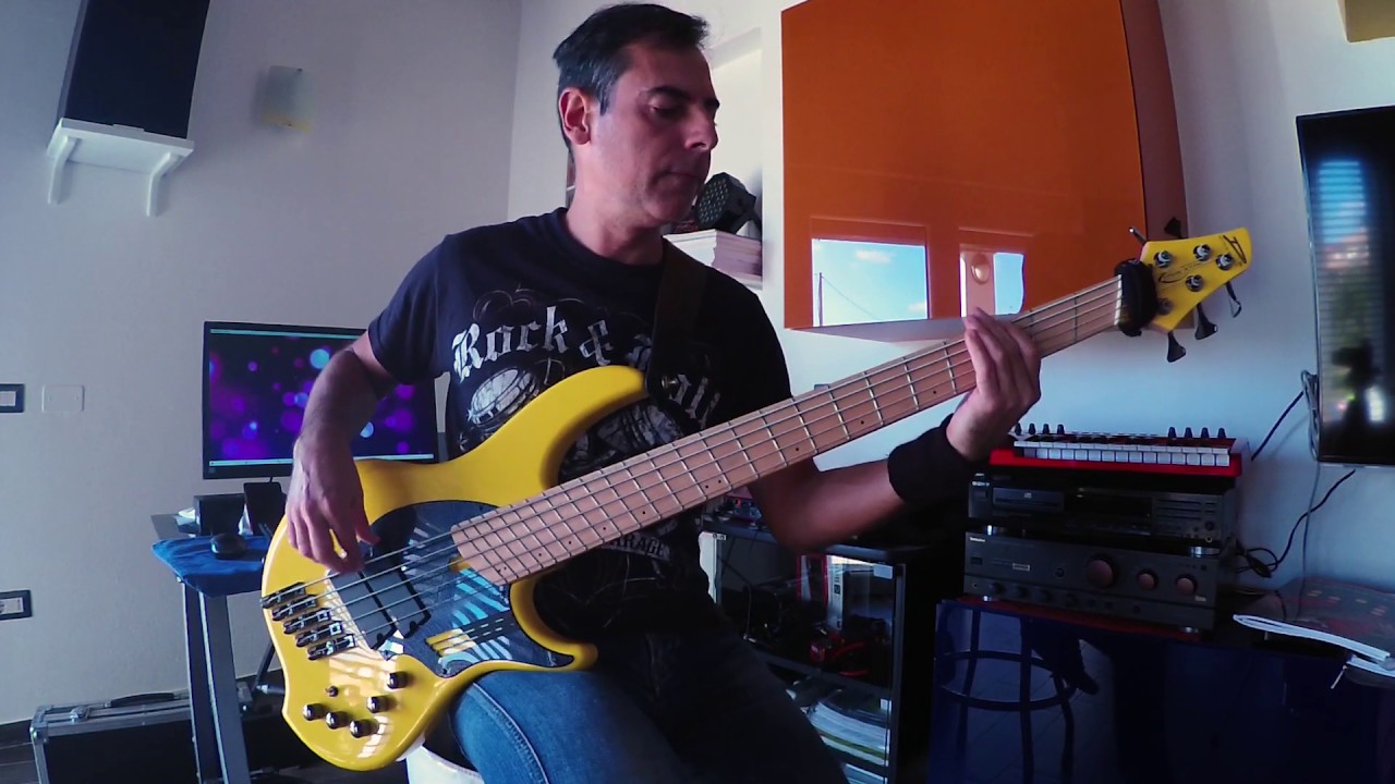 The Ocean Collective - The Wish In Dreams (Bass Cover)