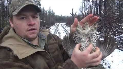 | How To | Cleaning a Ruffed Grouse
