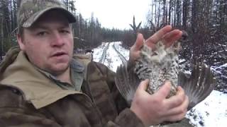 | How To | Cleaning a Ruffed Grouse