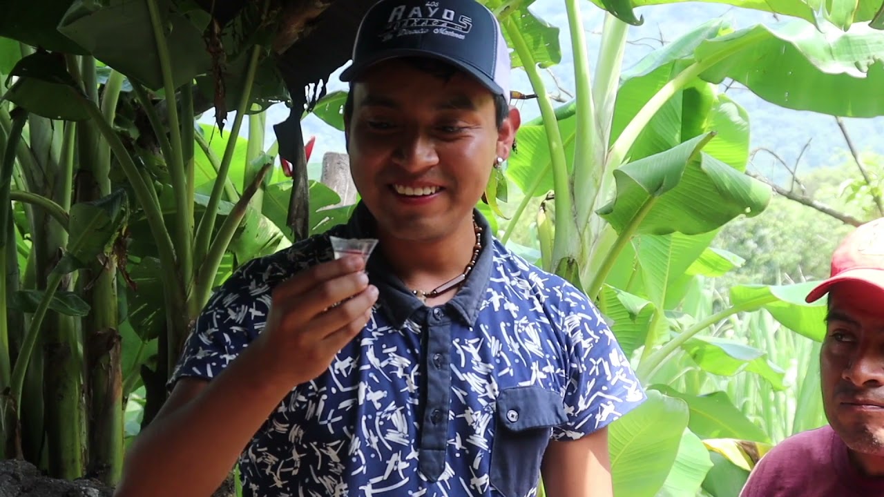 TAMBIÉN EN OAXACA SE TOMA AGUARDIENTE