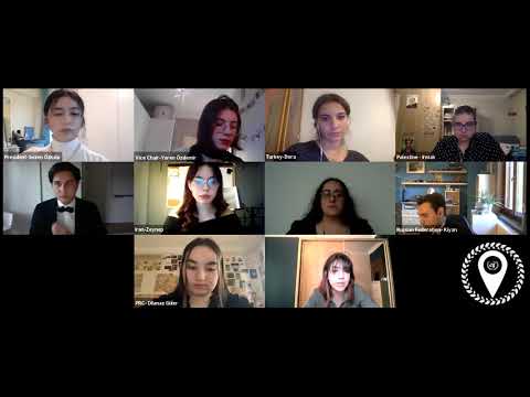 Online MUN THIMUN RoP - Mock Debate Full Session