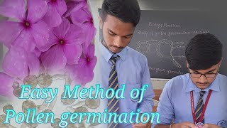 Pollen Germination
