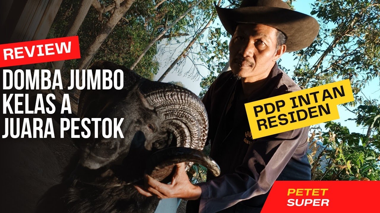 Pdp Intan Residen Rancabango