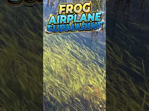 FROG ✈️ #aviation #submarine #frog #shorts